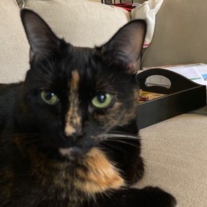 Meet your Posher, Claire